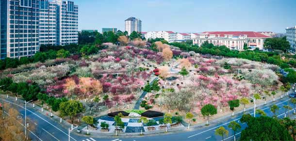 江蘇大學 - 最美院校