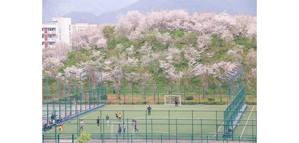 杭州師范大學 - 最美大學