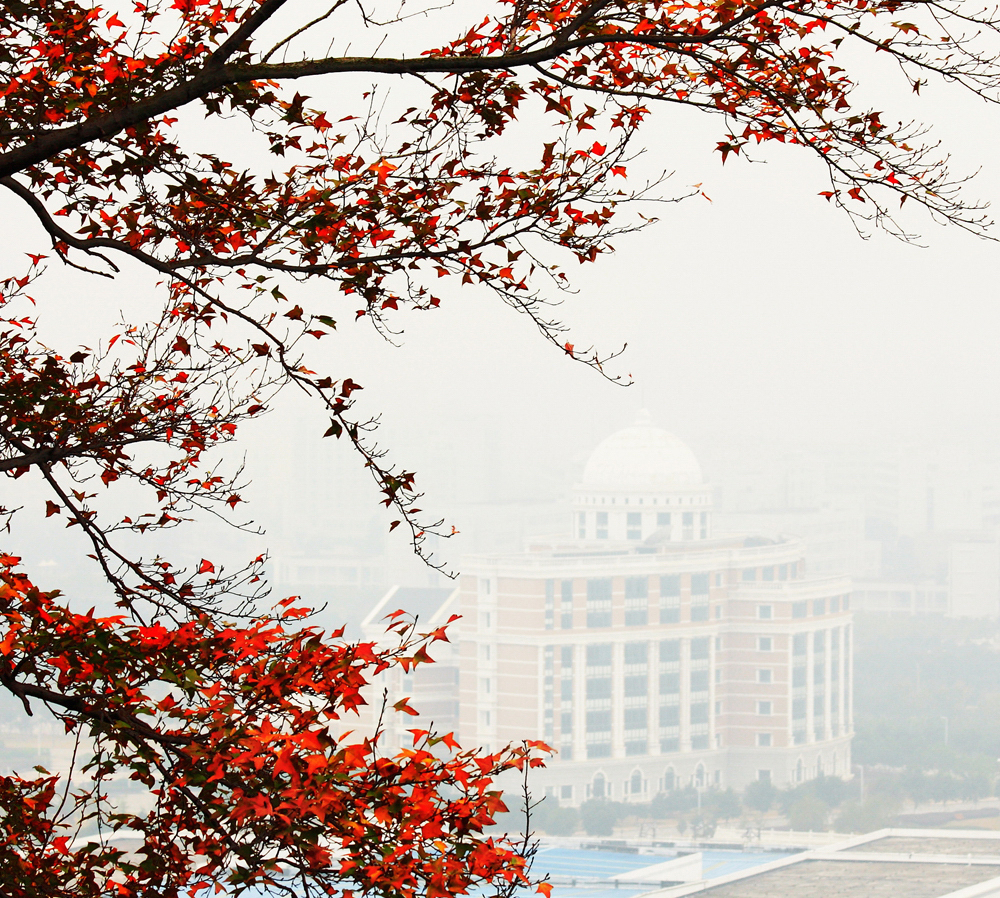 溫州醫(yī)科大學(xué) 我的大學(xué)