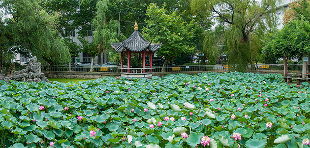 合肥理工學(xué)院 - 最美院校