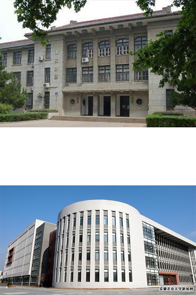 安徽農業(yè)大學