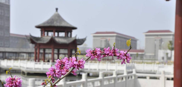 安徽黃梅戲藝術(shù)職業(yè)學(xué)院