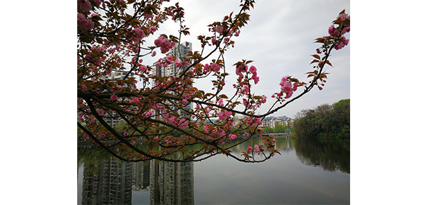 贛東學(xué)院 - 最美大學(xué)