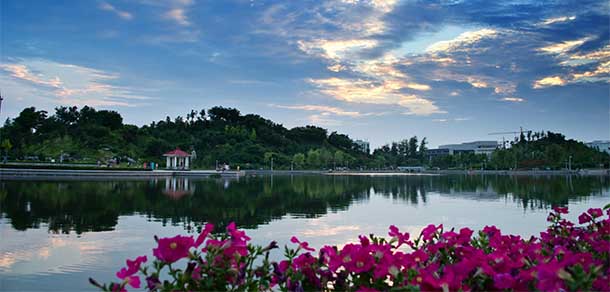 山東理工大學 - 最美院校