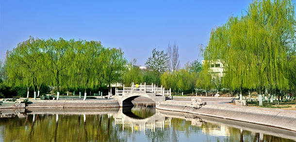 山東理工大學 - 最美大學