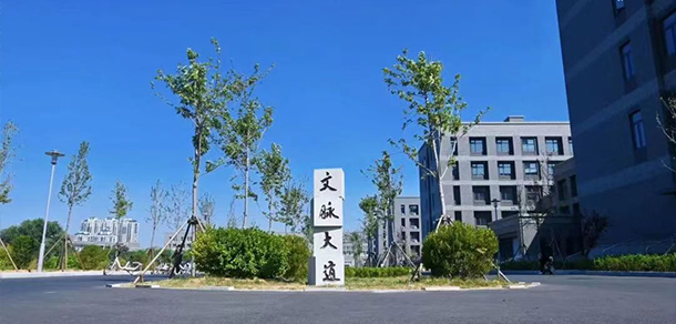 山東師范大學 - 最美大學