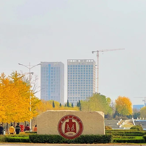 我的大學(xué)