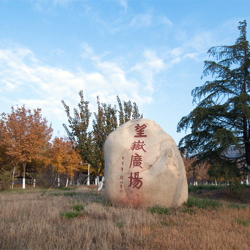 泰山學(xué)院 - 我們的流金歲月