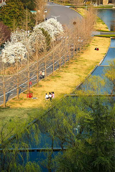 山東科技大學(xué)-流金歲月