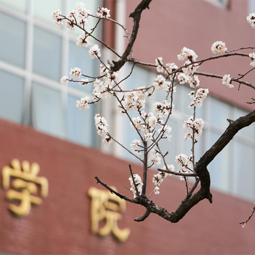 山東英才學(xué)院-流金歲月