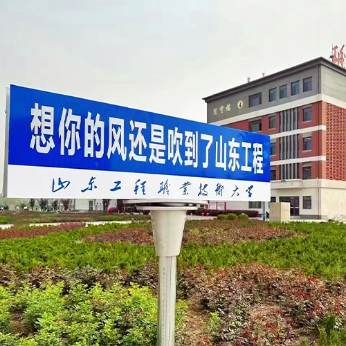 我的大學(xué)