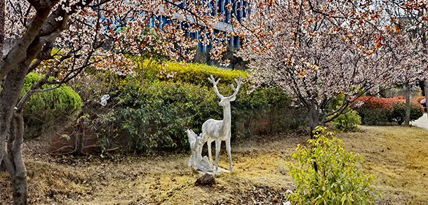 棗莊職業(yè)學院 - 最美院校