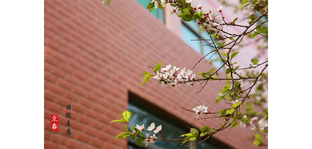 山東特殊教育職業(yè)學院 - 最美大學