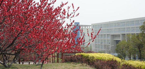 河南城建學院 - 最美大學