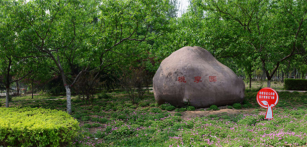 濟(jì)源職業(yè)技術(shù)學(xué)院 - 最美大學(xué)