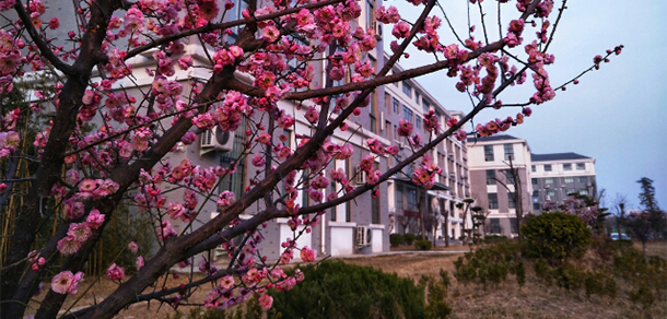 開封大學 - 最美大學