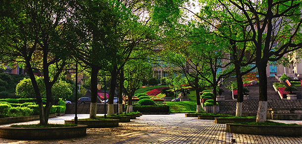 湘南學院 - 最美大學