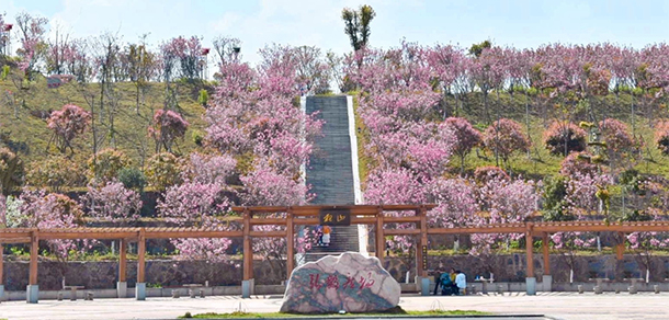 懷化學院 - 最美院校