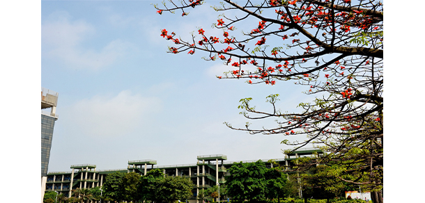 廣東工業(yè)大學(xué) - 最美大學(xué)