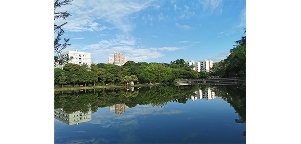 深圳職業(yè)技術(shù)學(xué)院 - 最美大學(xué)