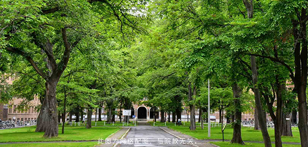 深圳城市職業(yè)學院