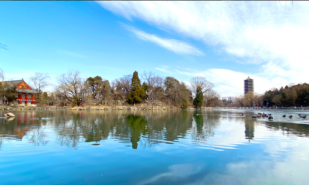 北京大學 校園文化