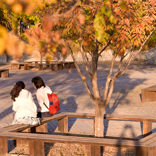 北京工商大學(xué)-最美校園