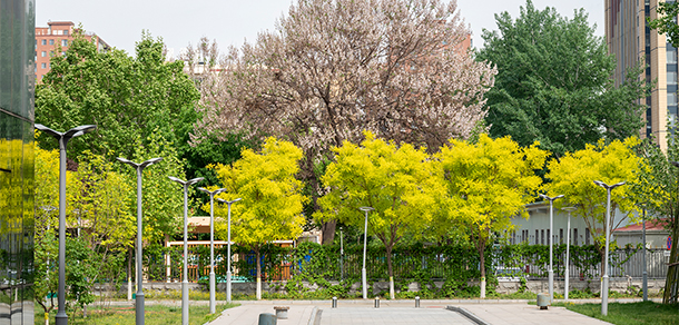 北京石油化工學(xué)院 - 最美大學(xué)