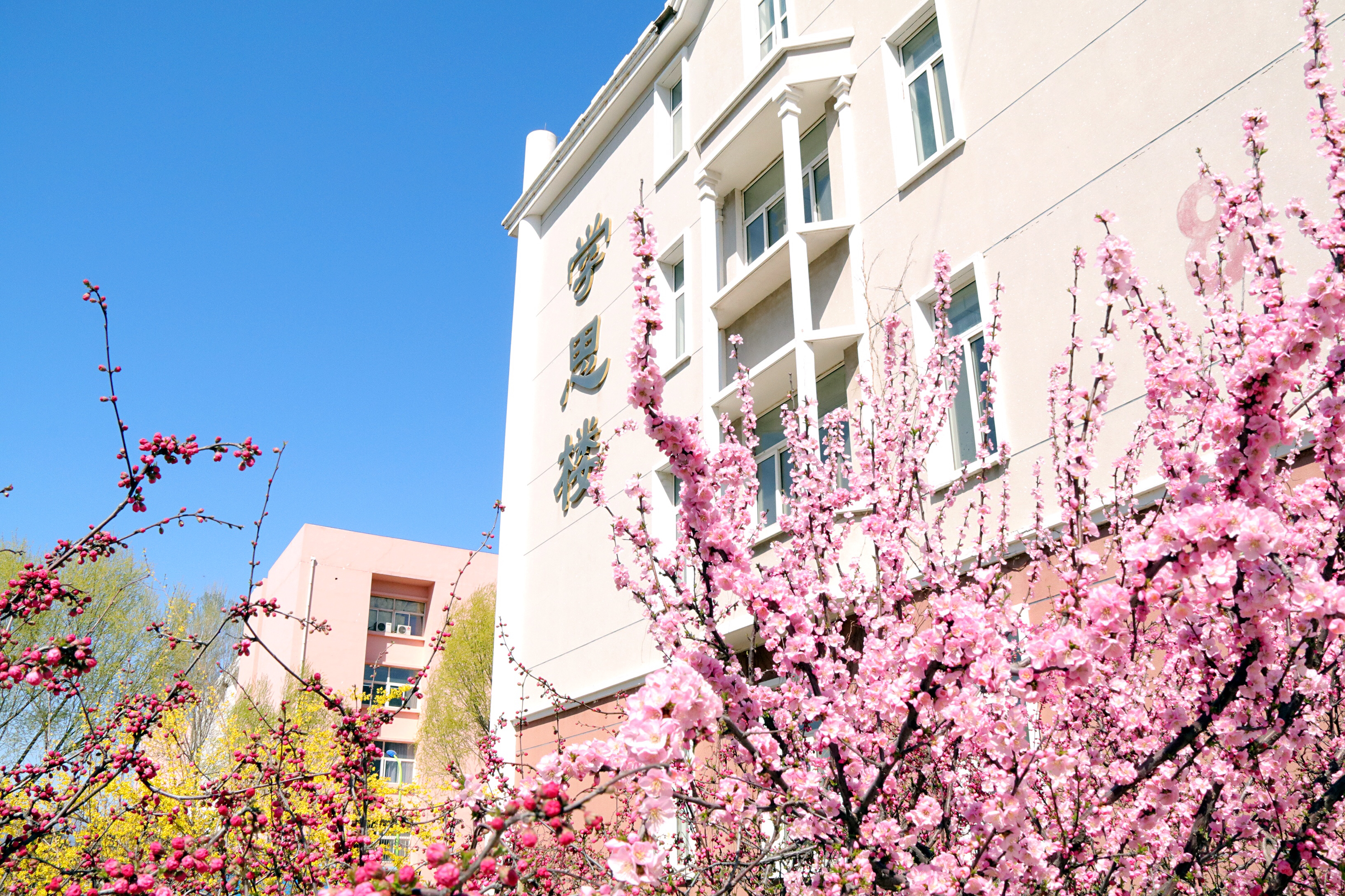 北京郵電大學世紀學院 早安青春