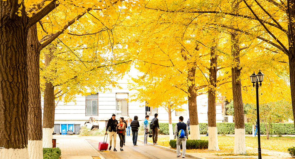 北京科技大學(xué)：校名題寫 / 校徽設(shè)計(jì)