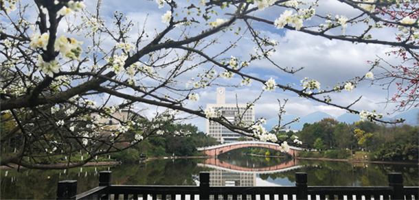 重慶師范大學(xué) - 最美大學(xué)