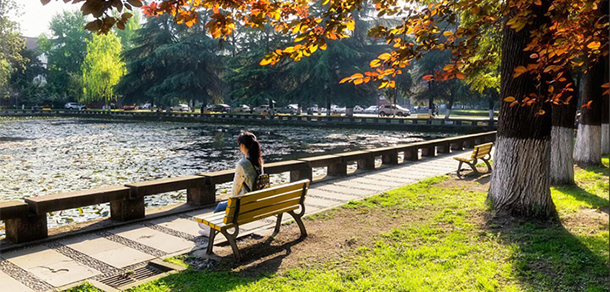 四川大學(xué) - 最美大學(xué)