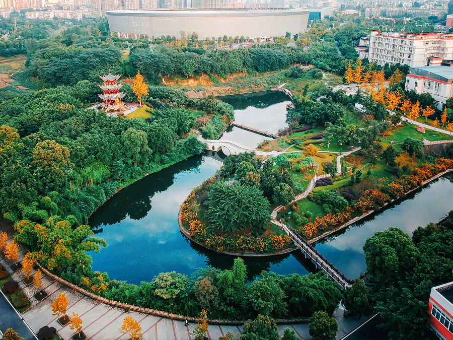 西南醫(yī)科大學(xué) 我的大學(xué)