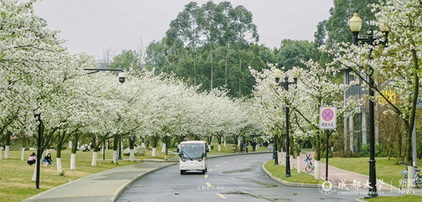 成都大學(xué)