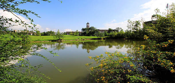 成都東軟學院 - 最美大學