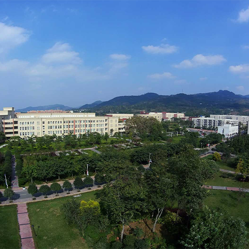 最美大學