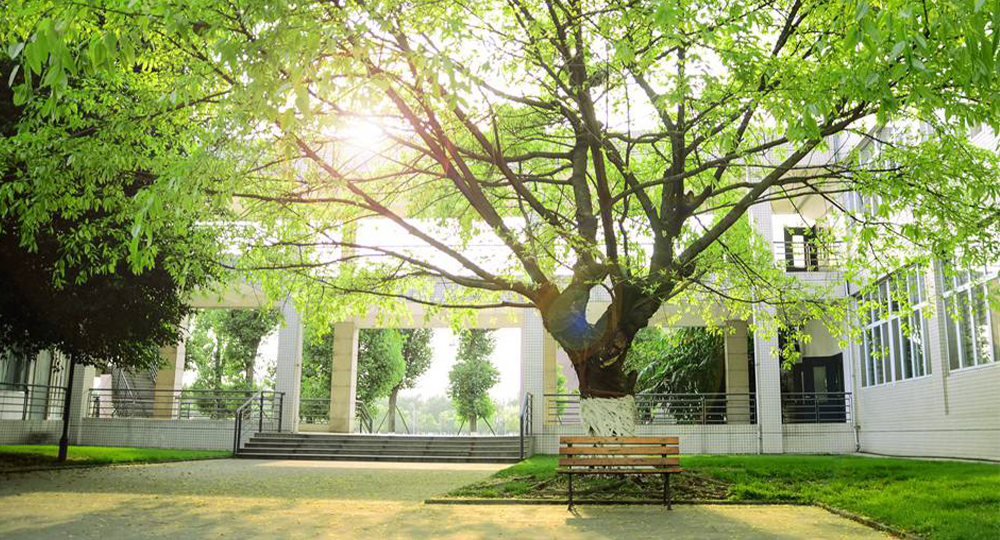 四川大學(xué)錦江學(xué)院
 流金歲月 · 致青春