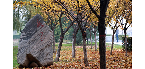 西安郵電大學(xué) - 最美大學(xué)