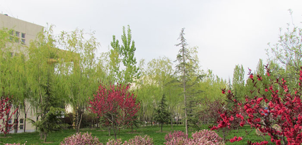 銅川職業(yè)技術(shù)學(xué)院 - 最美大學(xué)