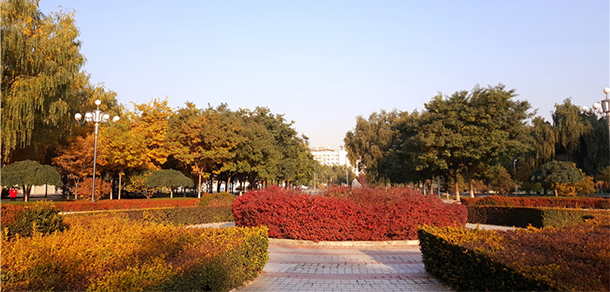 我的大學-大學志