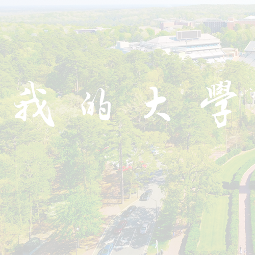 我的大學(xué)