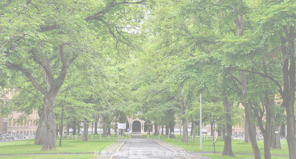 香港大學 中國名片里的青春力量