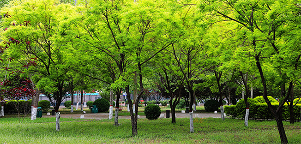 河北正定師范高等專科學(xué)校