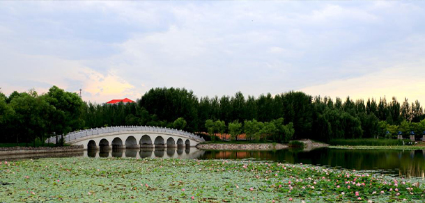 東北石油大學(xué) - 最美大學(xué)