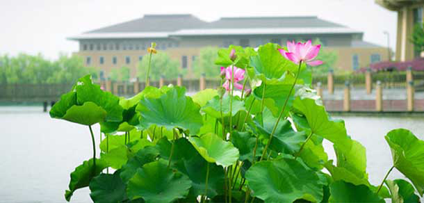 上海政法學院 - 最美大學