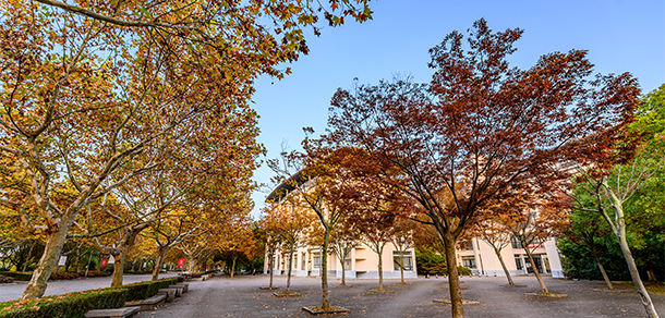 東華大學 - 最美大學